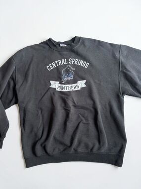 Vintage Jerzees Super Sweats Crewneck Central Springs Panthers USA L
